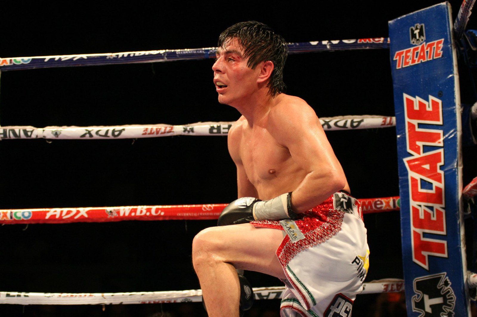 Cancún, Quintana Roo, 15 de septiembre de 2009. Jorge "Travieso" Arce nada pudo hacer por retener su titulo de campeón mundial supermosca de la FIB, ya que su rival, Simphiwe Nongoayi, fue muy superior en golpes, y terminó arrebatándole el cetro (Foto: Marco Polo Guzmán  Hernández/ cuartoscuro.com)