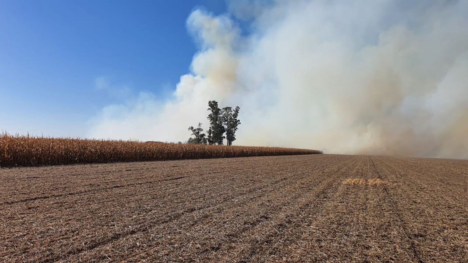 Dirigente de una entidad ruralista denunció un incendio intencional en su campo de Córdoba