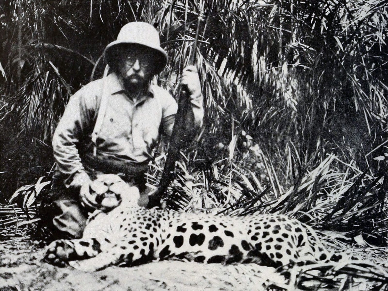 Theodore Roosevelt con un jaguar asesinado en Brasil en 1913 (American Museum of Natural History via The New York Times)
