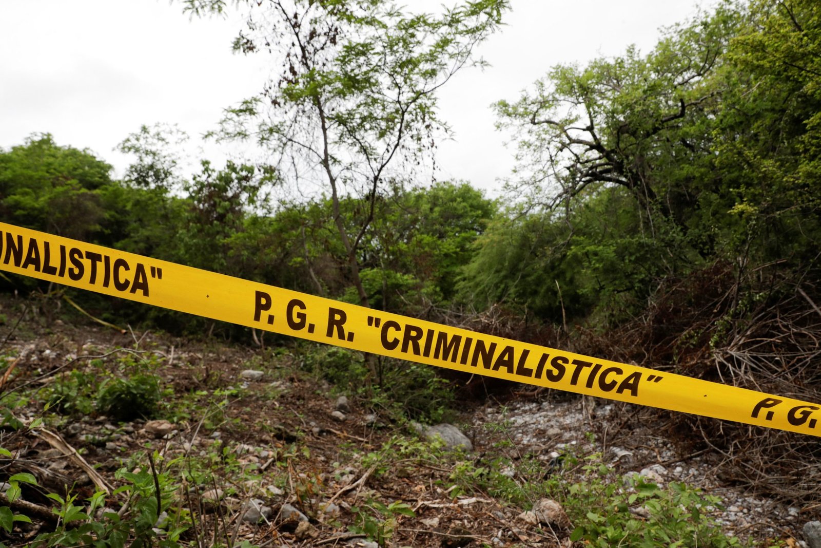 La última prueba, y la más evidente, es una llamada que fue interceptada por la DEA, donde se puede escuchar la conversación de dos hermanos de El Mochomo: en ella discuten sobre el ataque contra los 43 estudiantes (Foto: REUTERS/Henry Romero)