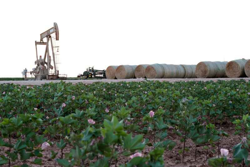 Imagen de archivo de una explotación petrolera cerca de Midland, Texas, EEUU. 21 agosto 2019. REUTERS/Jessica Lutz