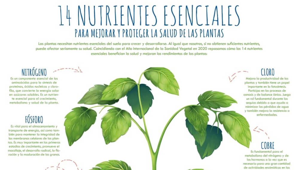 Fertilizar Asociación Civil - Nutrientes