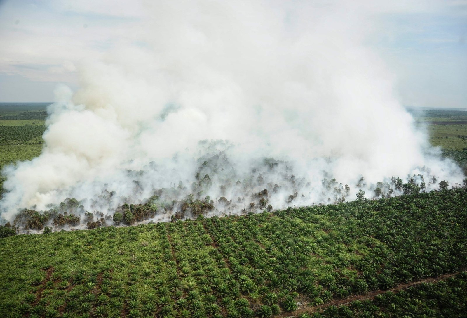 Fotografía facilitada el 26 de agosto de 2016, que muestra una vista aérea de un incendio en Kubu Raya, en la provincia de Kalimantan Occidental (Indonesia) . EFE/Hendrik/Archivo

