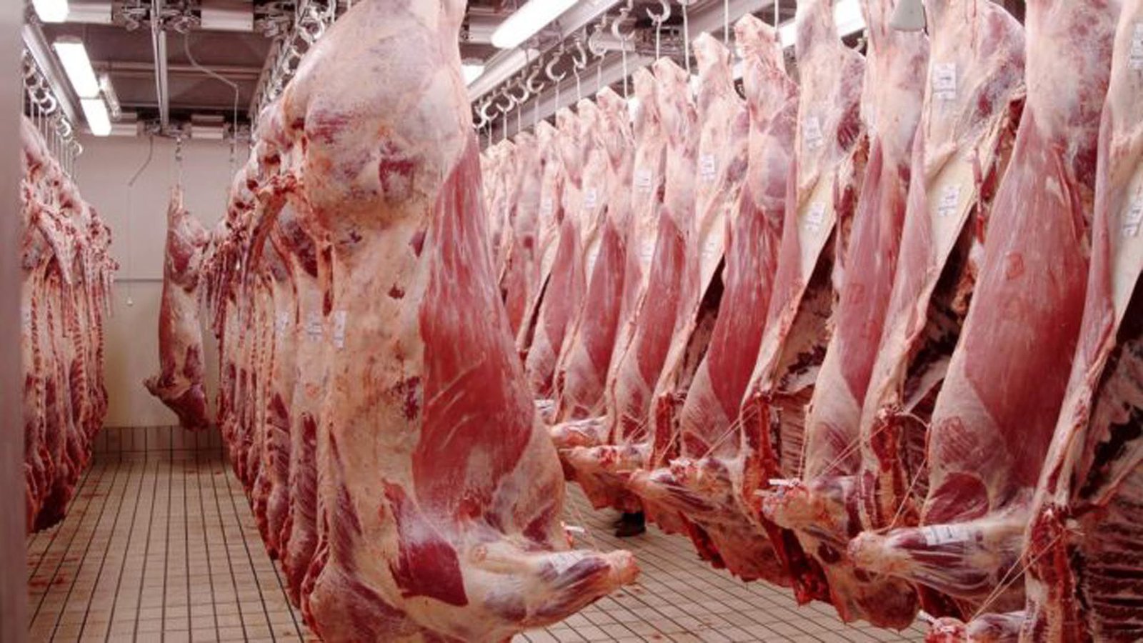 Las exportaciones argentinas de carne vacuna acumuladas a lo largo de los últimos doce meses,  alcanzaron las 896 mil toneladas res con hueso