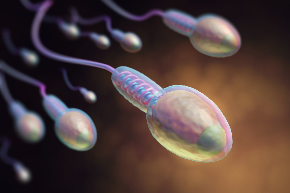 La enfermedad se caracteriza por la ausencia de espermatozoides en el semen
