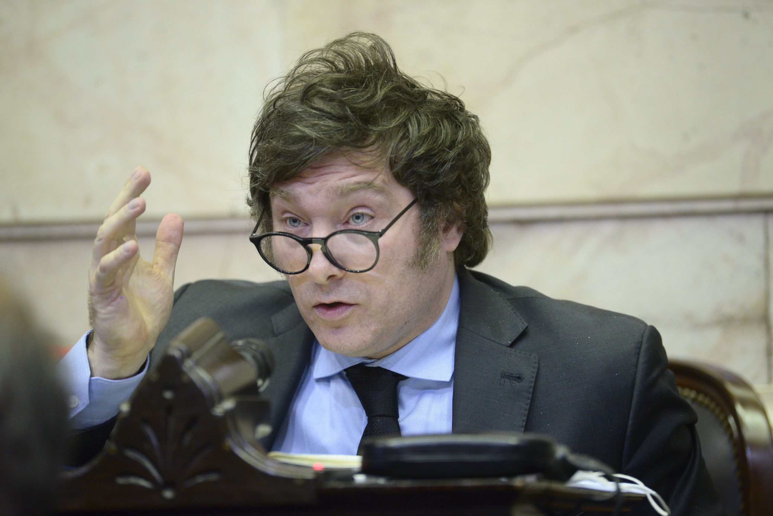 El diputado libertario Javier Milei se mostró a favor de una alianza con Mauricio Macri.