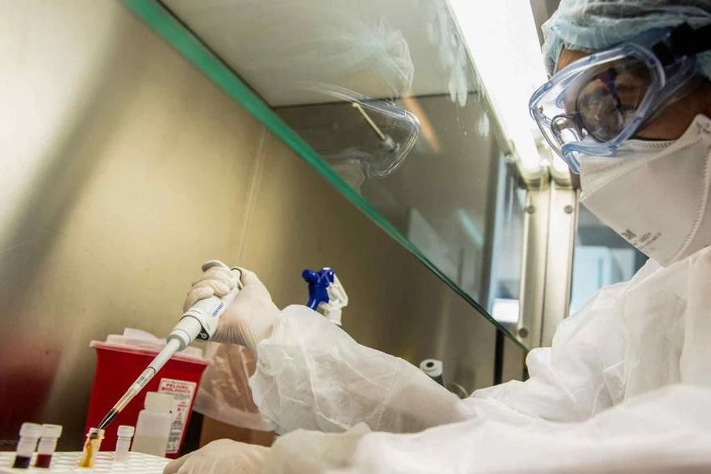 El Ministerio de Salud de la Nación confirmó 72 casos de la viruela símica.