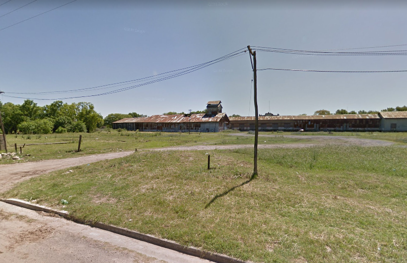 Pergamino: una familia debió abandonar su casa por una invasión de ratones