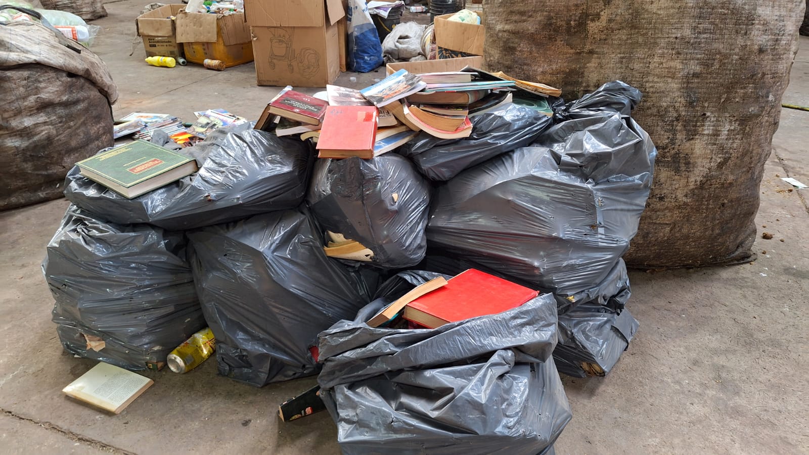 Lush Música: Luis Vázquez Lanza