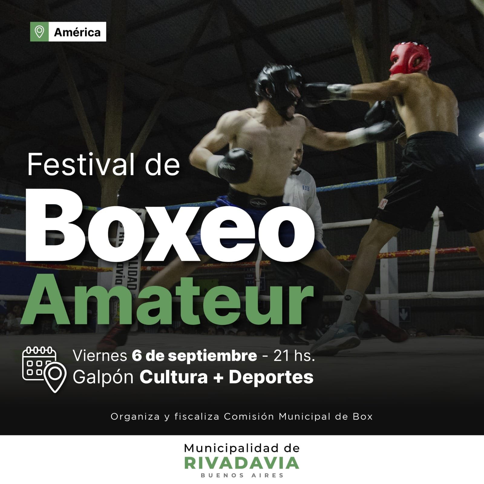 ¡Noche de boxeo en América! - Master News