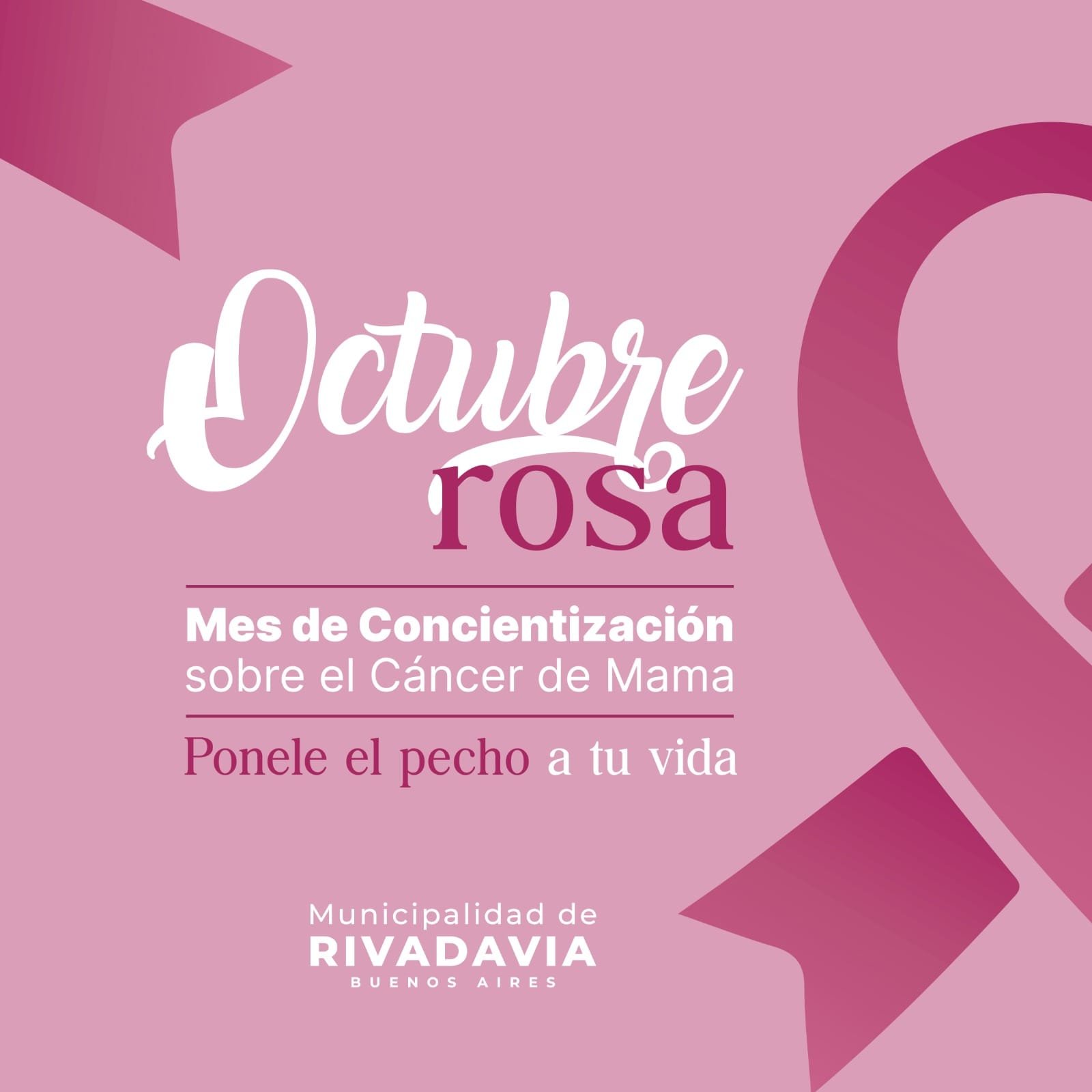 Octubre Rosa - Master News