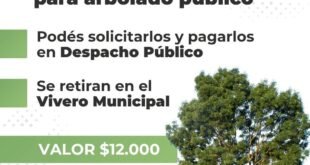 La Municipalidad de Rivadavia puso en venta fresnos americanos para el arbolado público