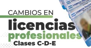 Cambios en las licencias de conducir profesionales: Qué modifica el nuevo decreto provincial