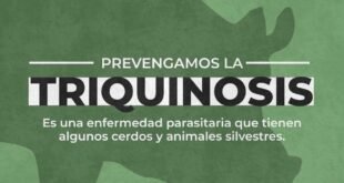 Advierten sobre la importancia de prevenir la triquinosis y recuerdan las medidas de cuidado
