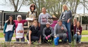 El Paseo Orlando Valdés luce renovado con el trabajo de alumnos de Jardinería