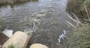 Río V: Concejales de Rivadavia Primero recorrieron la cuenca y reclamaron información sobre las obras